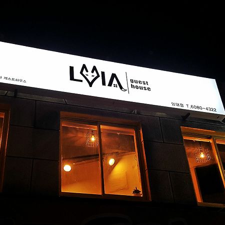 Lvia ゲストハウス ソウル特別市 エクステリア 写真